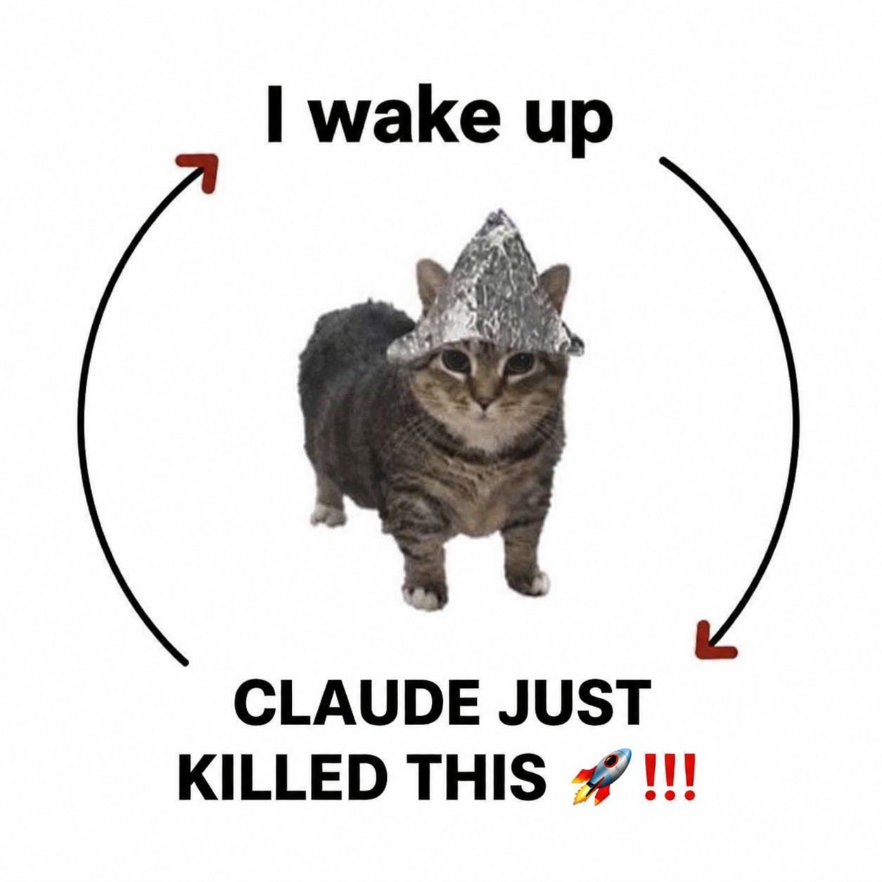 tinfoil cat meme template